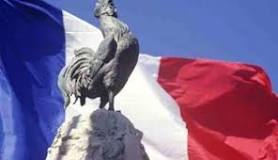 Bandiera francese con un gallo